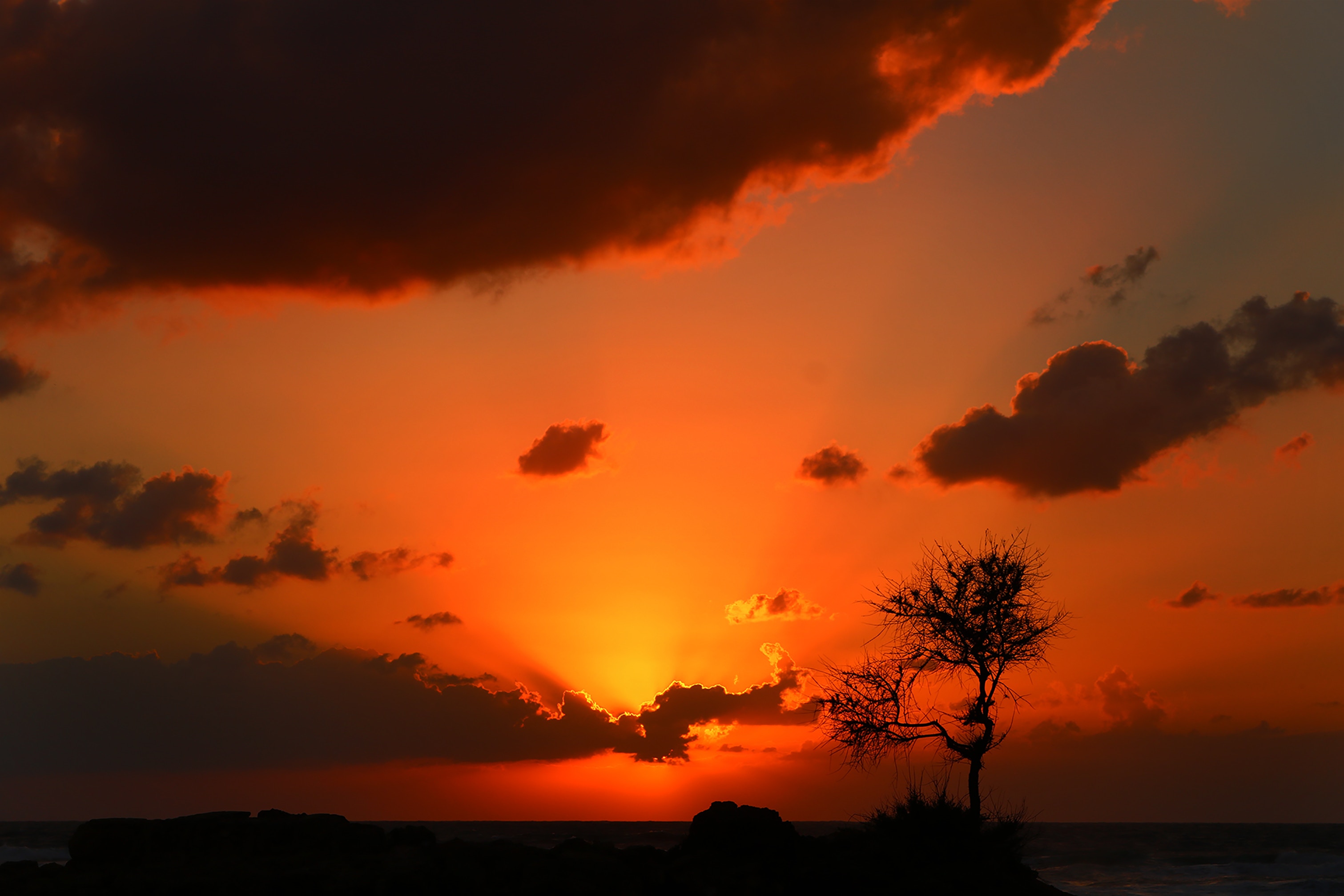 daniel-lerman-670092-unsplash