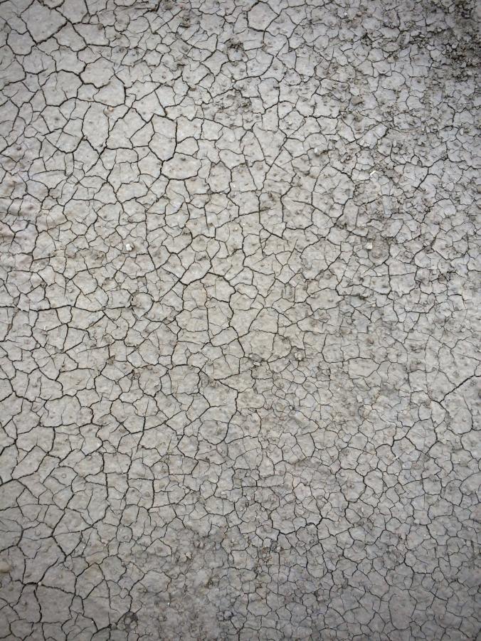 aleksei-simonenko-OZnoM_gjtNw-unsplash