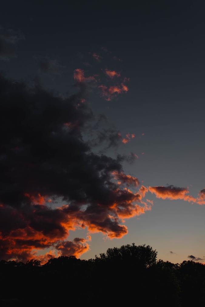 xavier-gonzalez-mnIORnJVfFk-unsplash